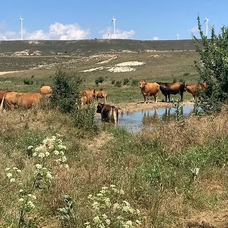 Tranquilo Y Buena Naturaleza Nyaraló Ontalvilla de Almazan
